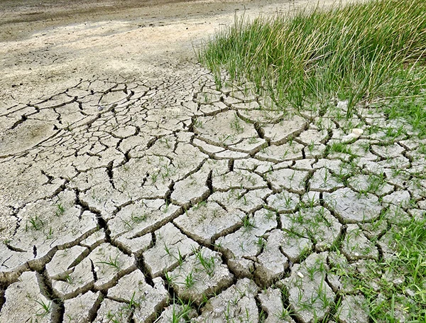 terre craquement sèche changement climatique climat